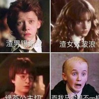 德哈羅赫等CP