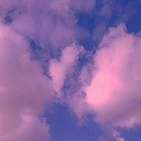 無(wú)固定人設(shè)