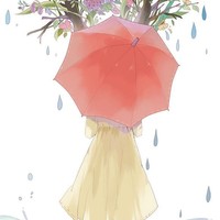 苏菁落