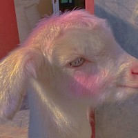 林南兴句子铺