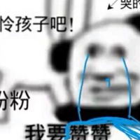 文笔不咋滴