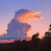 一個(gè)那啥的