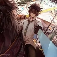 凹凸骑士姬
