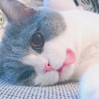 神神鬼鬼