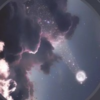 分生作品