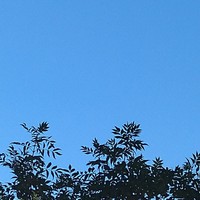 勿代入真人