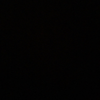 斑鼬