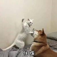 男生作死