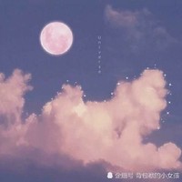 喜宝最可爱