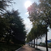 温花语