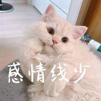 感情线少