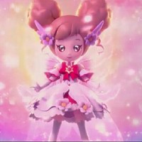 奇迹花
