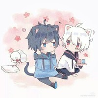 陈琴