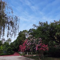 马晓晓
