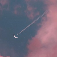 且看女二如何翻云覆雨
