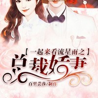 流星雨之總裁嬌妻
