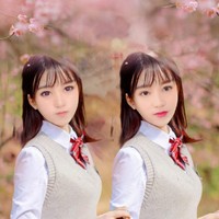 我的吸血鬼騎士