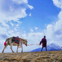 藏汉情缘