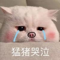 系统拟人文