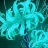妙先生同人文