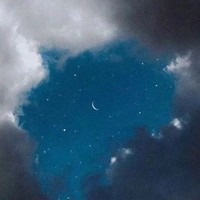 尽情期待正文