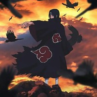 凡星开挂的一生