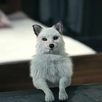 根據(jù)小說改編電視劇