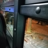 馬墩墩出品