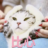 女主的崽可爱活泼