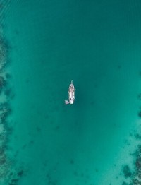 云朵破案