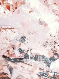 沙雕系统和懒癌宿主