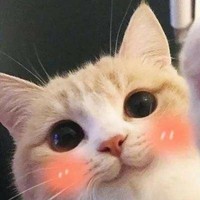 有时沙雕