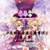 小花仙之奇迹之路后续
