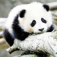 小作者心心