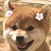 郡主a摄政王