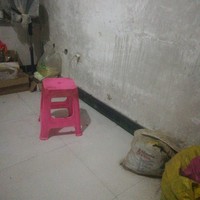 習(xí)諾