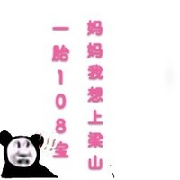 一胎多宝