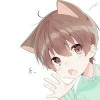 我的男友是只猫