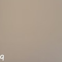 严智明