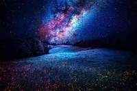 霍斩疾x北月殇晨