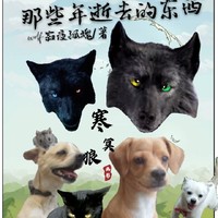 回忆那些年逝去的东西