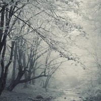 我一人可與天同齊