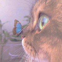 人妖不殊途