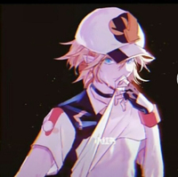 杀手金