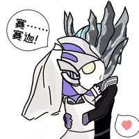 赛雷cp