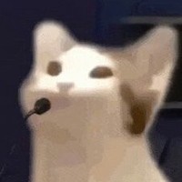唐曉翼毫無(wú)存在感