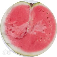 主狼蛮剑骨龙燕羽英