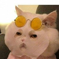咸鱼文社a