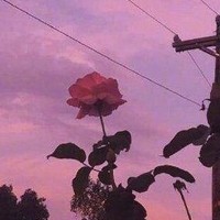 系統(tǒng)逼我談戀愛