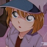 柯哀黨慎入